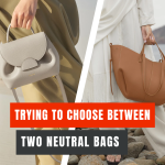 Trying to Choose Between Two Neutral Bags image