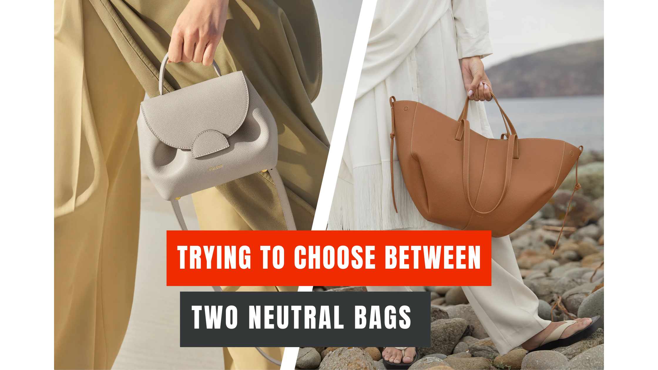 Trying to Choose Between Two Neutral Bags image